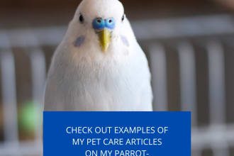 write a 1000 word article about pet care