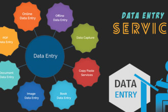 do excel, data entry, word, PDF to excel and web research