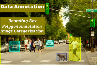 do precise data and image annotation, labelling and tagging