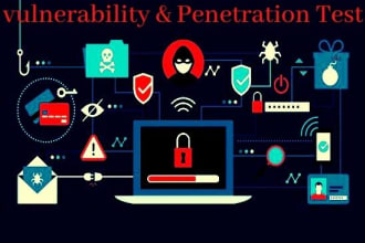 do penetration test your website with professional report