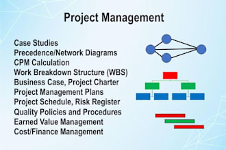 do any task of project management