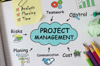 撰写项目管理和业务相关内容和文章