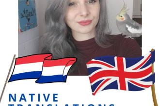 translate from dutch to english or english to dutch