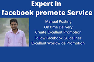 promote any facebook marketing in USA business