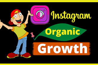 provide organic instagram growth service