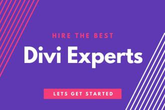 be divi theme expert for wordpress website or divi builder