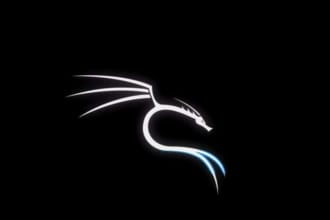 be your kali linux penetration tester and trainer too