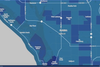 provide market profile report and target demographics