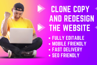 copy clone website redesign website within 24 hours using elemantor pro website