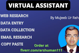be virtual assistant, data entry, copy paste and web scraping