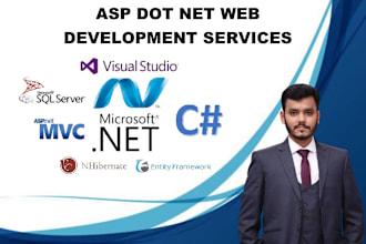 build a custom web app with  dot net core and angular or react