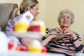 create a care home, adult care, healthcare, hospital business plan