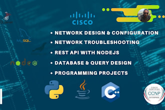 provide expert ict project assistance
