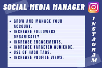 do instagram marketing, manage, promotion and organic growth