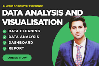 do data analysis and data visualization