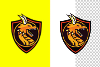 do logo transparent, vector, or redraw into high quality