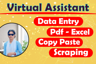 assist you with virtual assistant data entry copy paste job