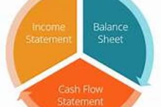 prepare financial statements, all sectors