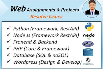 do python nodejs PHP web assignments and web issues