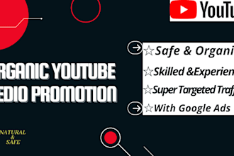 promote your youtube vedios organically