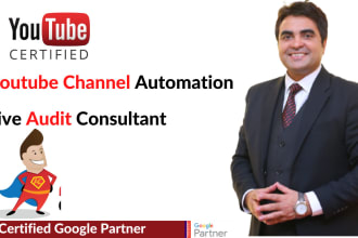 be your youtube consultant for the whole channel audit