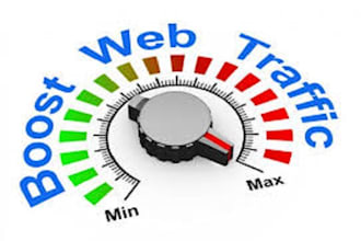 drive USA targeted organic visitors traffic for 30 days