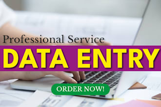 be your reliable data entry operator