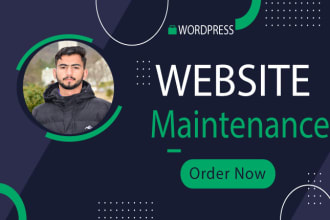 do website maintenance, manage,  fix erorr and  wordpress support