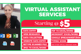 do data entry, web research, typing work, excel data entry in 24hr