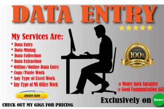 do all kind of data entry with in 1 hours
