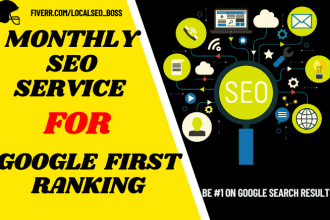 deliver monthly SEO service for website keyword rank up