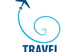 make an gorgeous aviation  logo design in one day