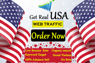 do for you professional organic USA web traffic