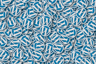 help in wordpress plugins and fix onpage issues
