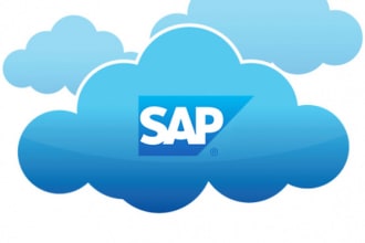 sap basis  administrator and cloud management platform