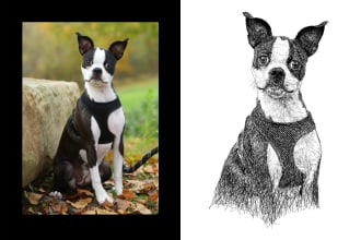 draw scribble art sketches detail for your pet or any animal