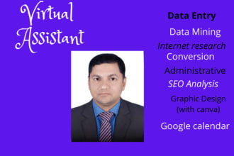 be your assistant virtually for data entry data mining and internet research