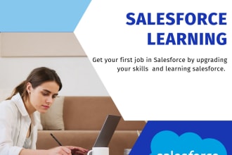 teach you salesforce admin and development