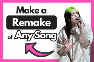 remake a professional instrumental of the song that you like
