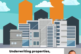 underwrite your property and help you raise capital