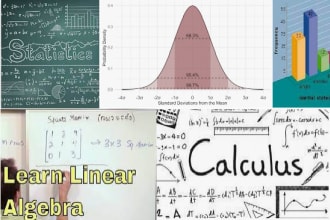 complete calculus,probability and statistics projects