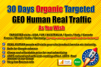 send organic targeted real human traffic to your website