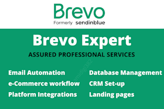 setup brevo automation at expert level