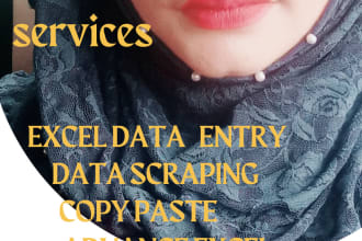 do excel data entry jobin 24 hours