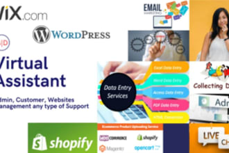 be your virtual assistant for all type of support for websites admin data entry