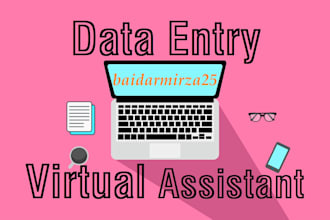 do data entry and VA tasks professionally