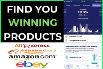 select 10 or more winning products for your ebay or shopify shop