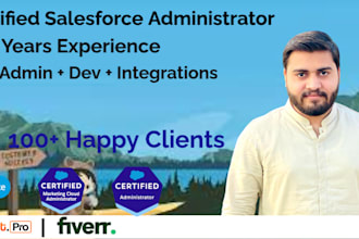 do any kind of salesforce task