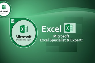 ms excel expert specialist master to design, format, analyse