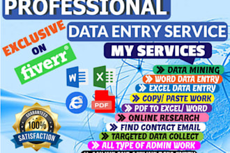 do data entry, copy and paste, english and urdu typing